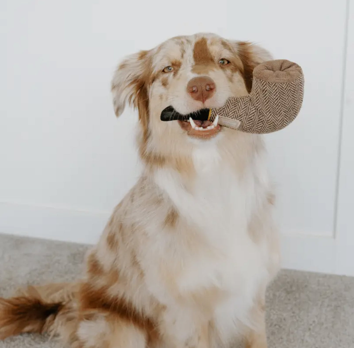 Dali Surrealist Snuffles Enrichment Dog Toy