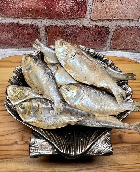 The Puppies Take Menhaden