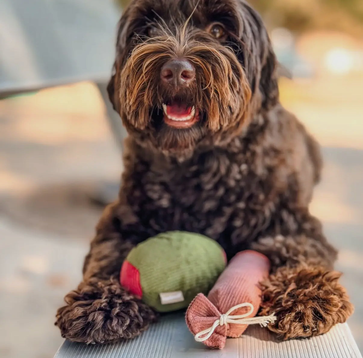Olive & Salami Enrichment Dog Toy