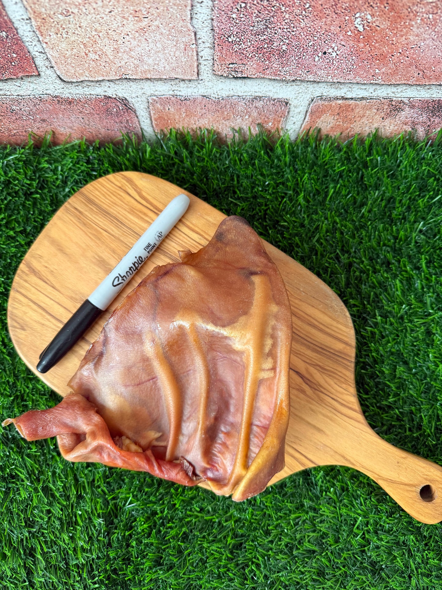 Can You Ear Me Now? Pig Ear (No Hair)