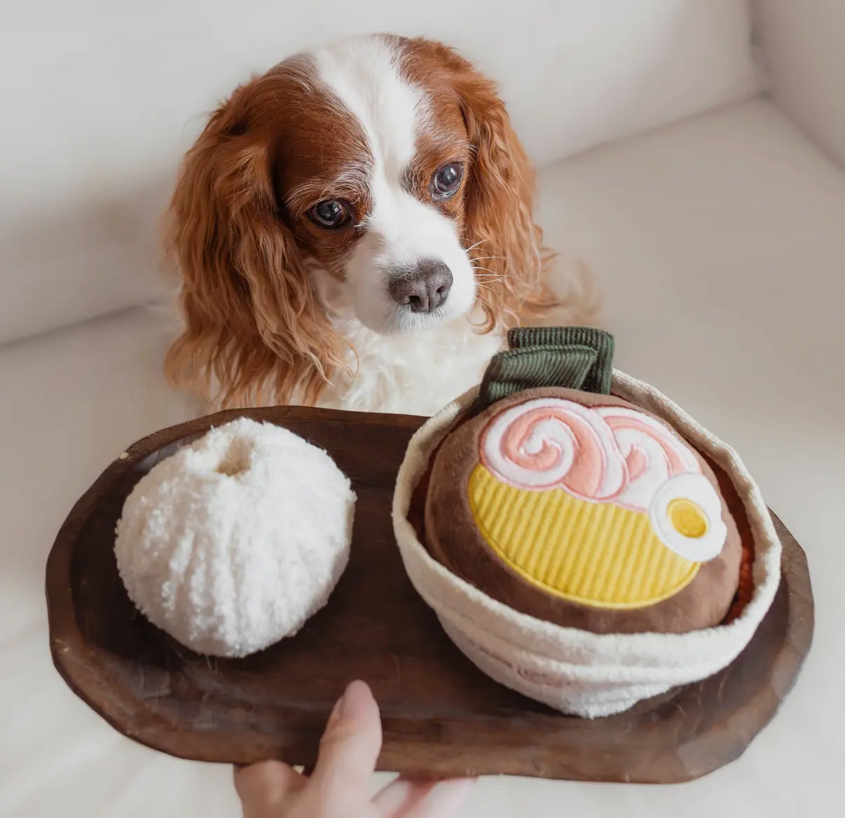 Ramen Enrichment Dog Toy