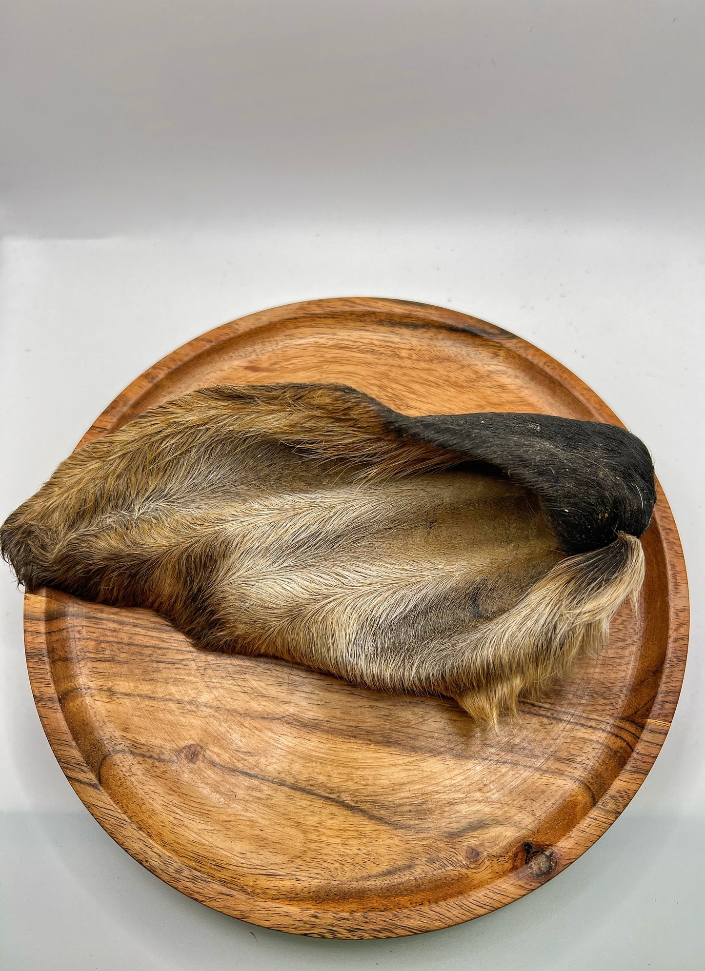 Can You Ear Me Now? Farm Fresh Cow Ear