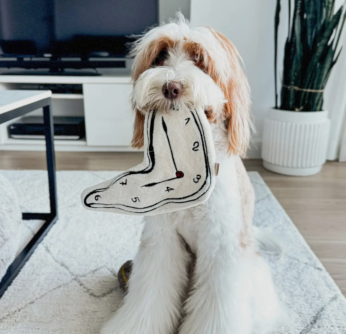 Dali Surrealist Snuffles Enrichment Dog Toy