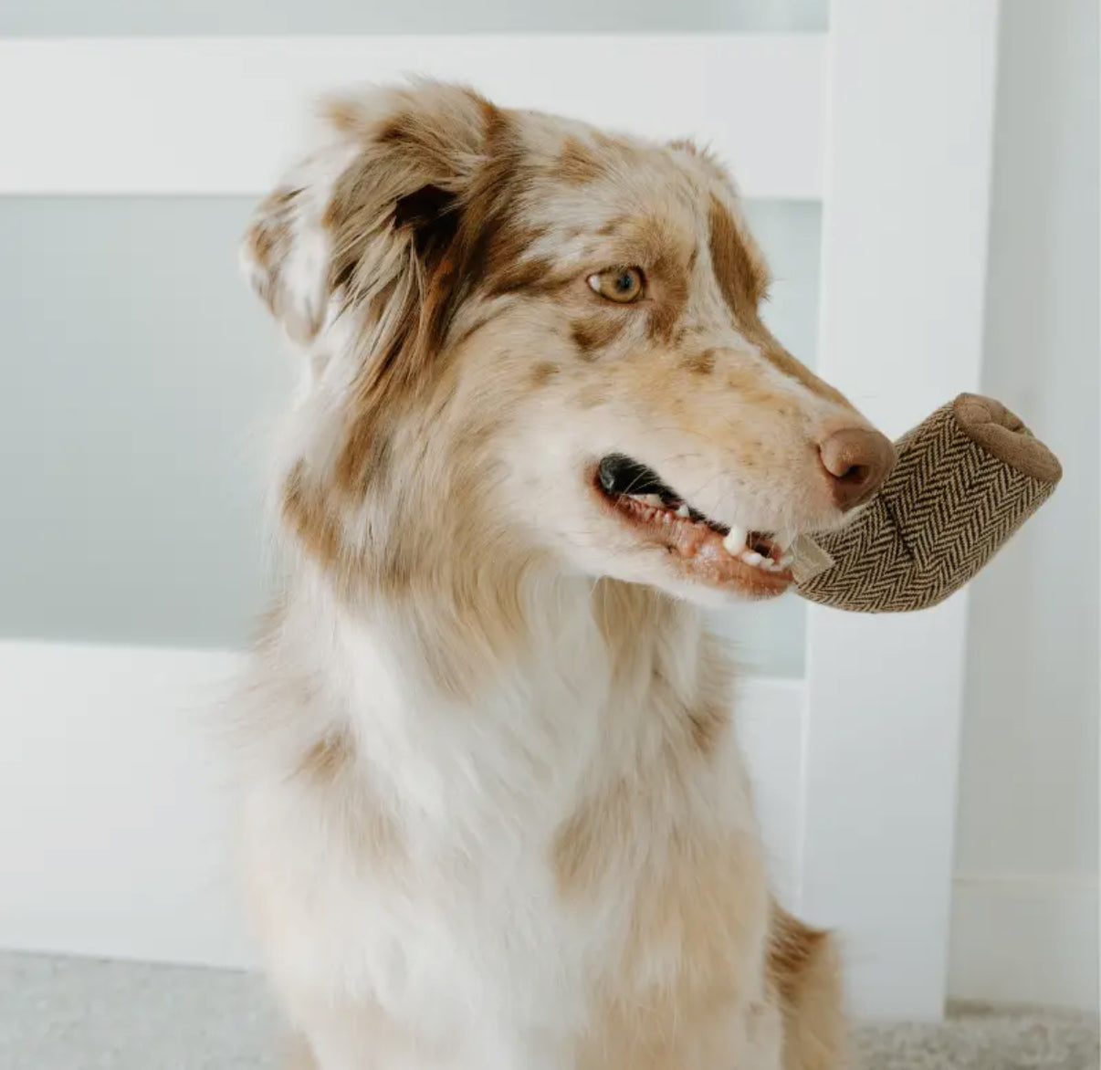 Dali Surrealist Snuffles Enrichment Dog Toy