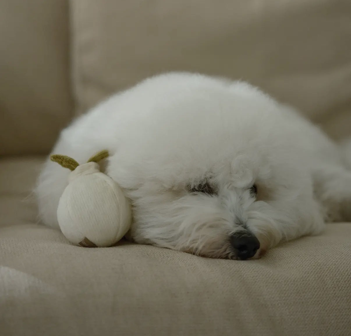 Garlic Pop Enrichment Dog Toy