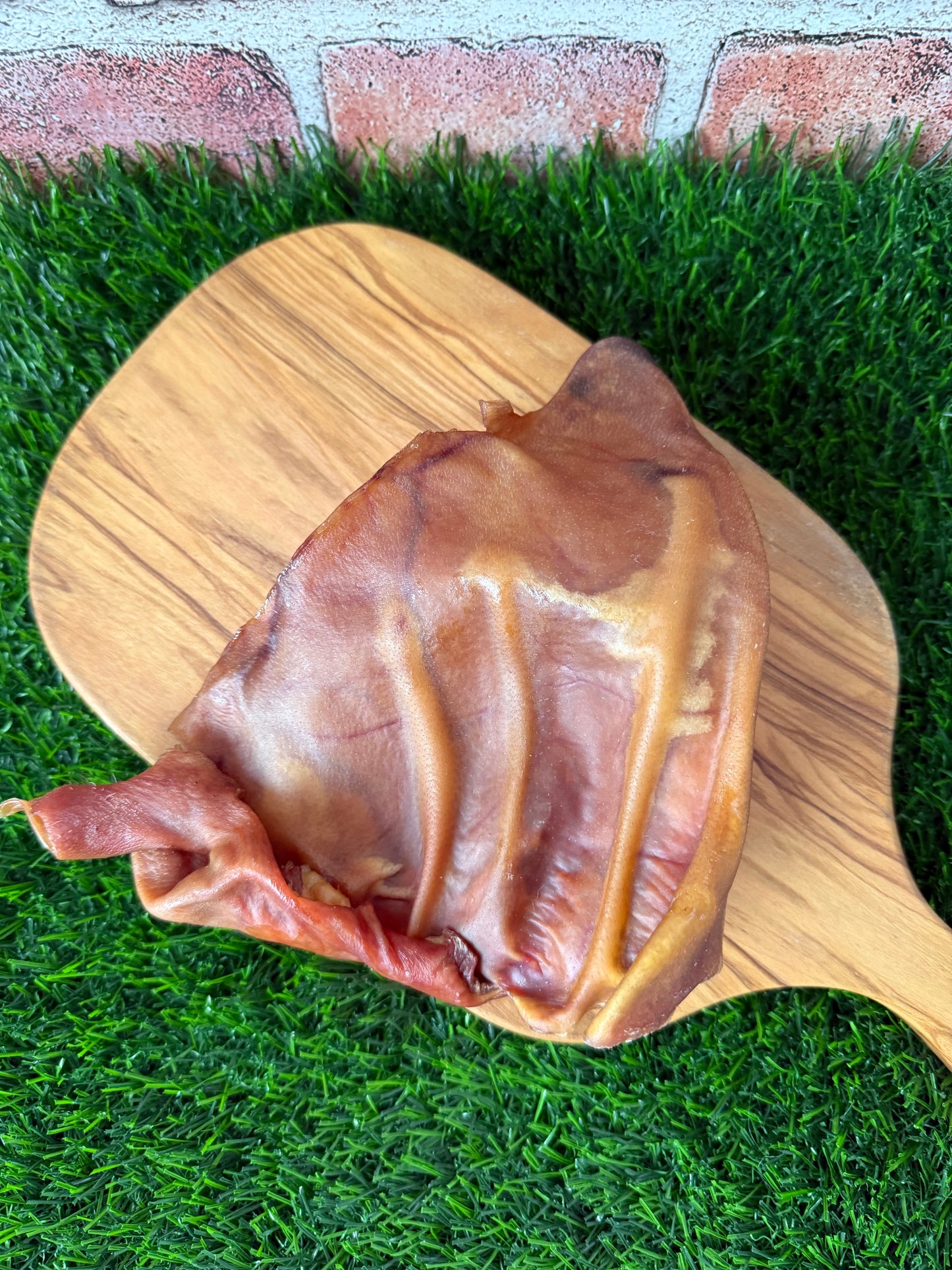 Can You Ear Me Now? Pig Ear (No Hair)