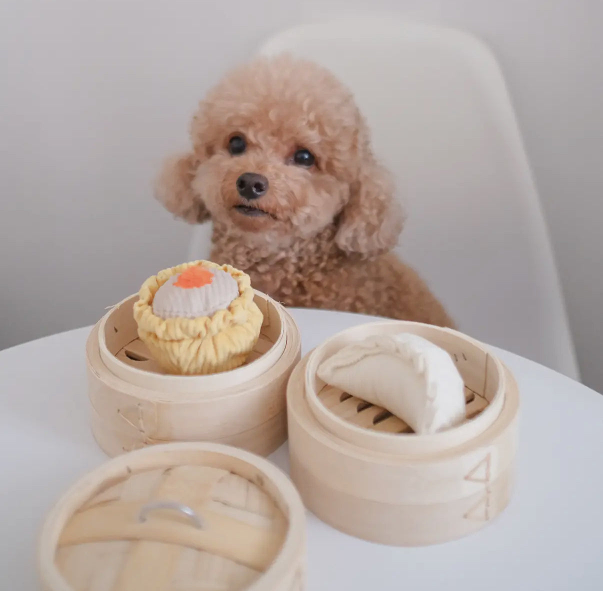 Dim Sum Pop Enrichment Dog Toy
