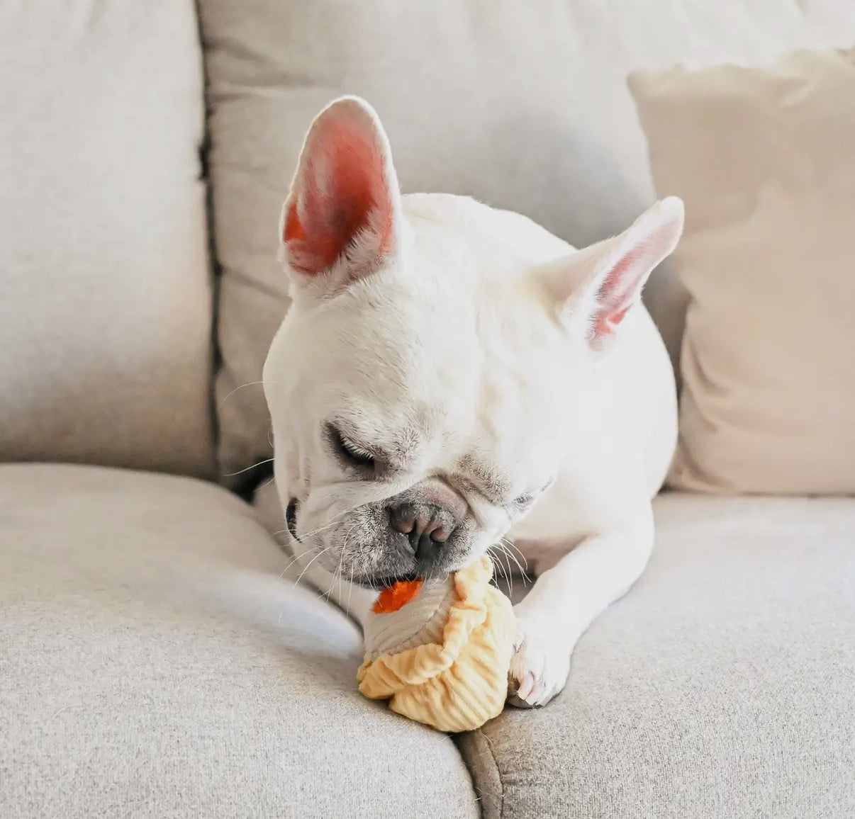 Dim Sum Pop Enrichment Dog Toy