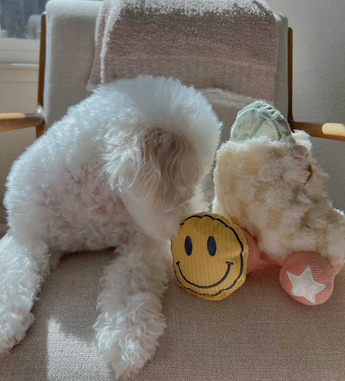 Roller Skate Enrichment Dog Toy