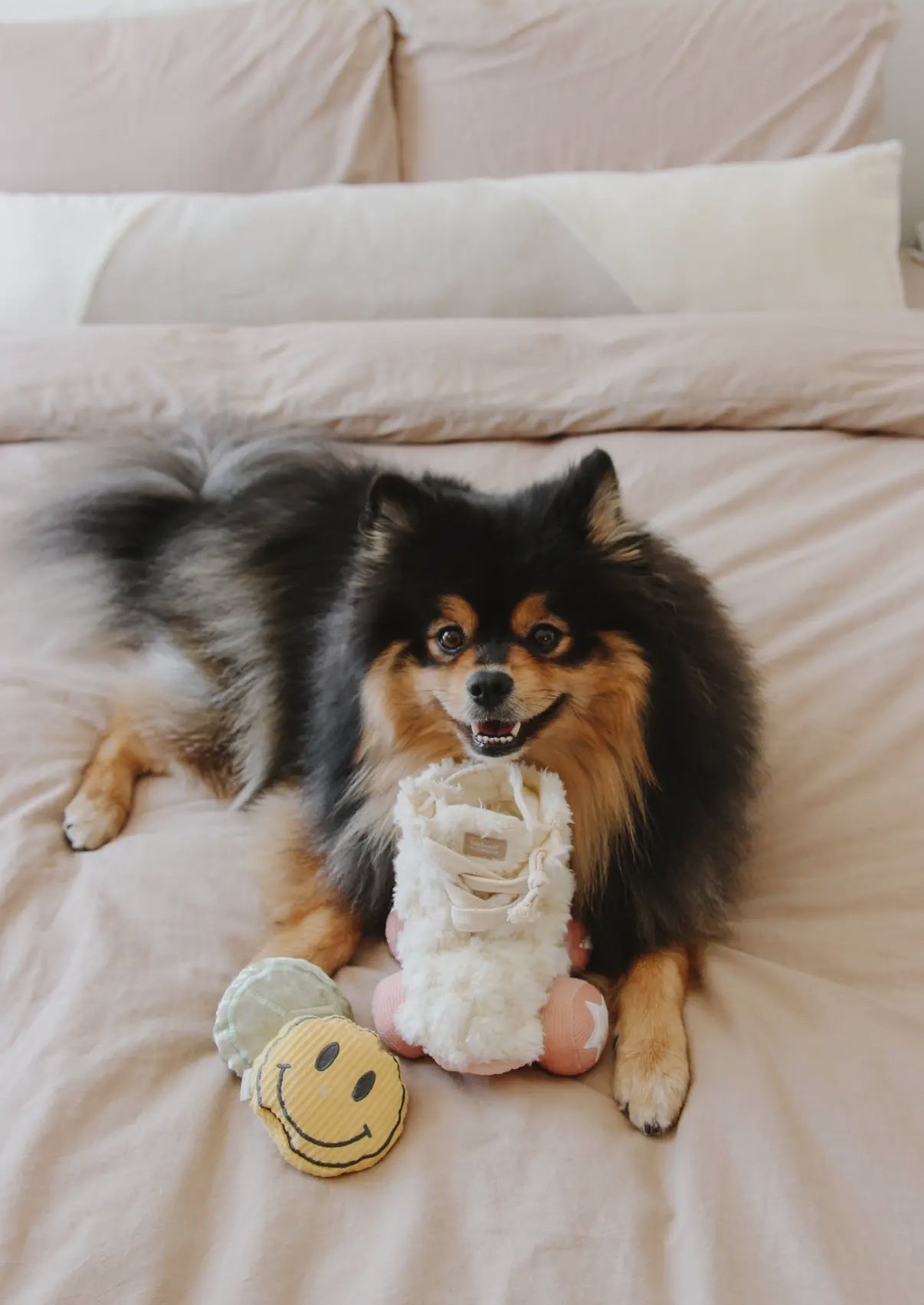 Roller Skate Enrichment Dog Toy