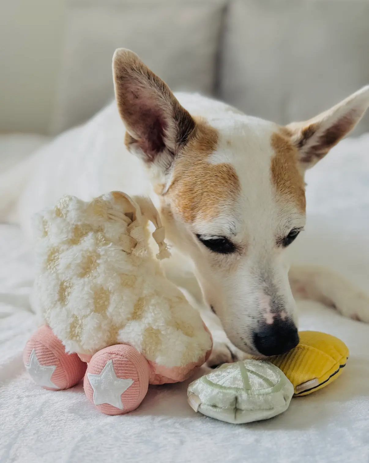 Roller Skate Enrichment Dog Toy