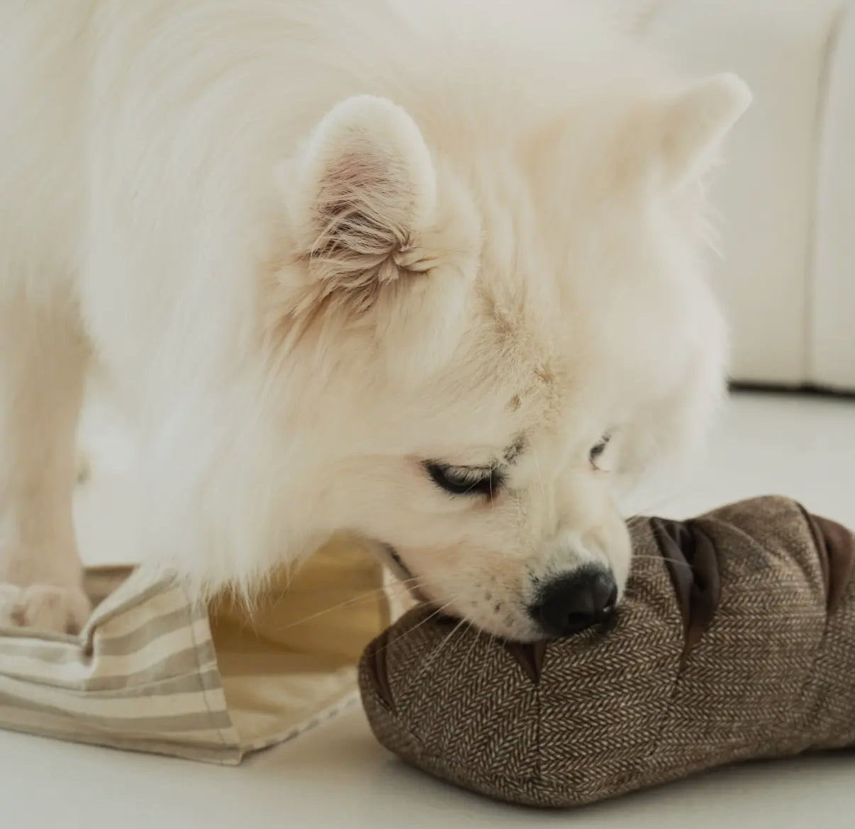 Rye Enrichment Dog Toy
