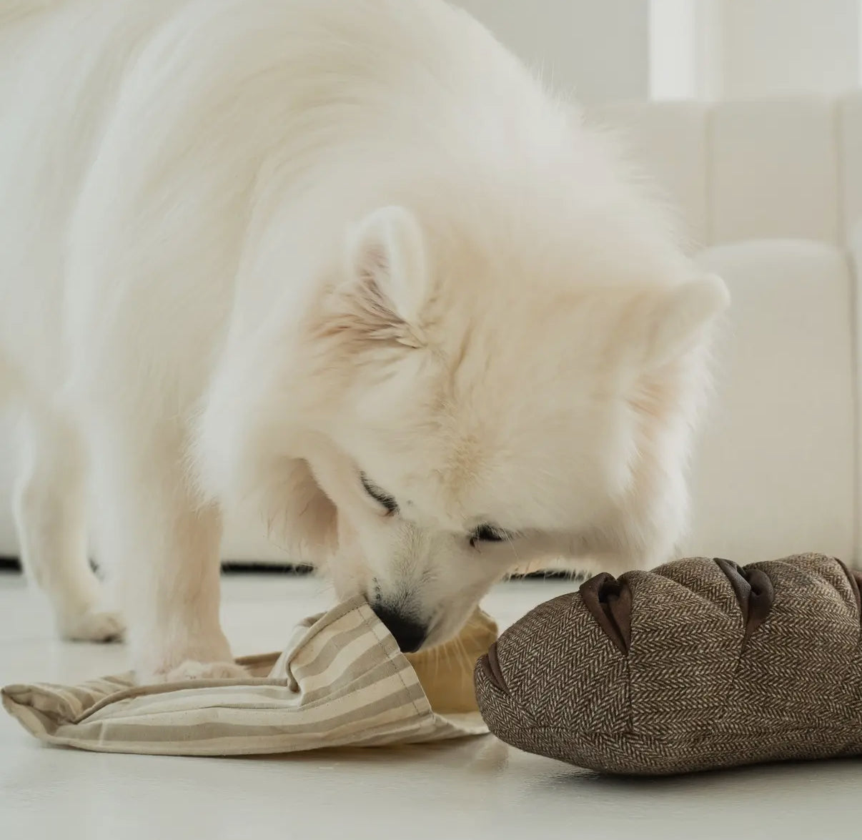 Rye Enrichment Dog Toy