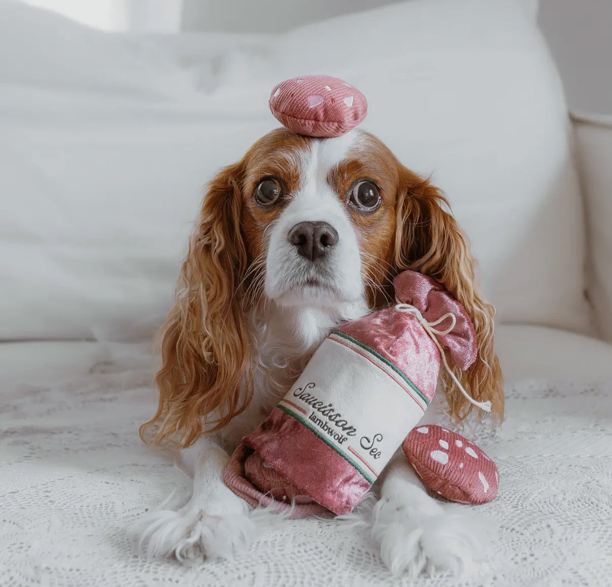 Saucisson Sec Enrichment Dog Toy