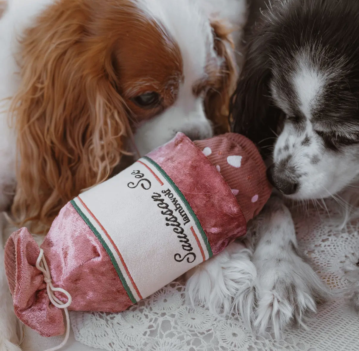 Saucisson Sec Enrichment Dog Toy