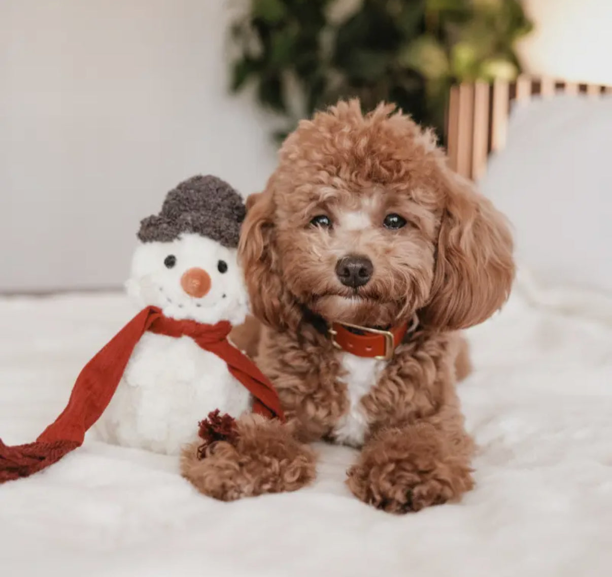 Snowman Holiday Enrichment Dog Toy